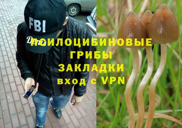 mdpv Волосово
