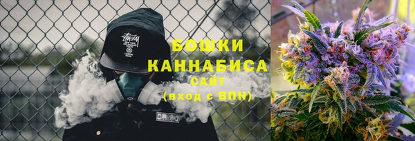 ECSTASY Вяземский