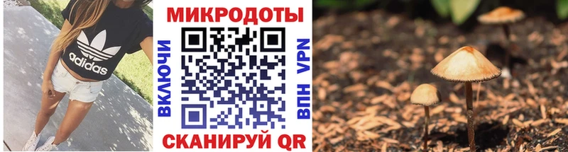 Купить закладки  Камышлов  Псилоцибиновые грибы мицелий 
